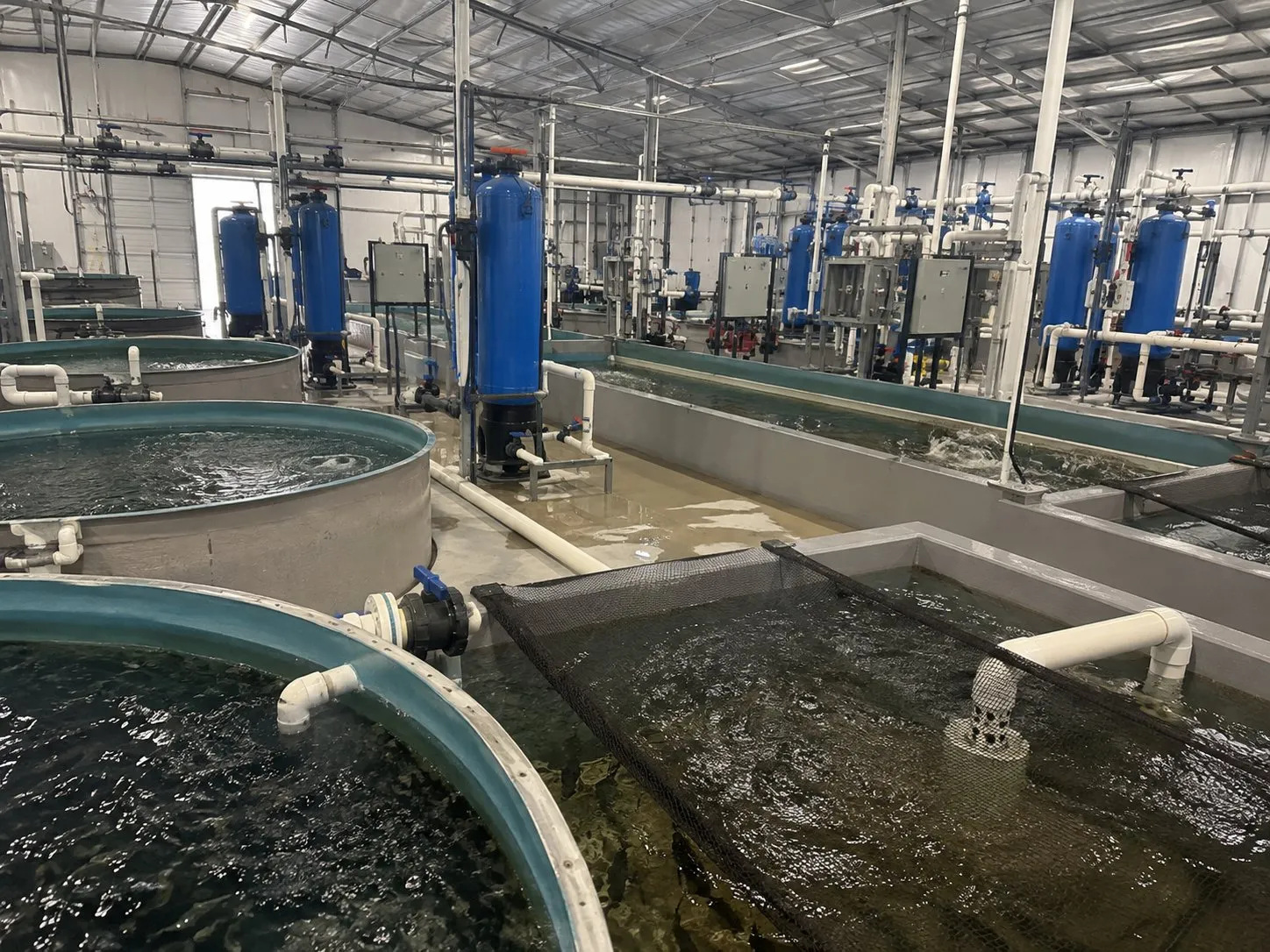 Circular rearing tanks and raceways served by blue pressure filters in a hatchery building