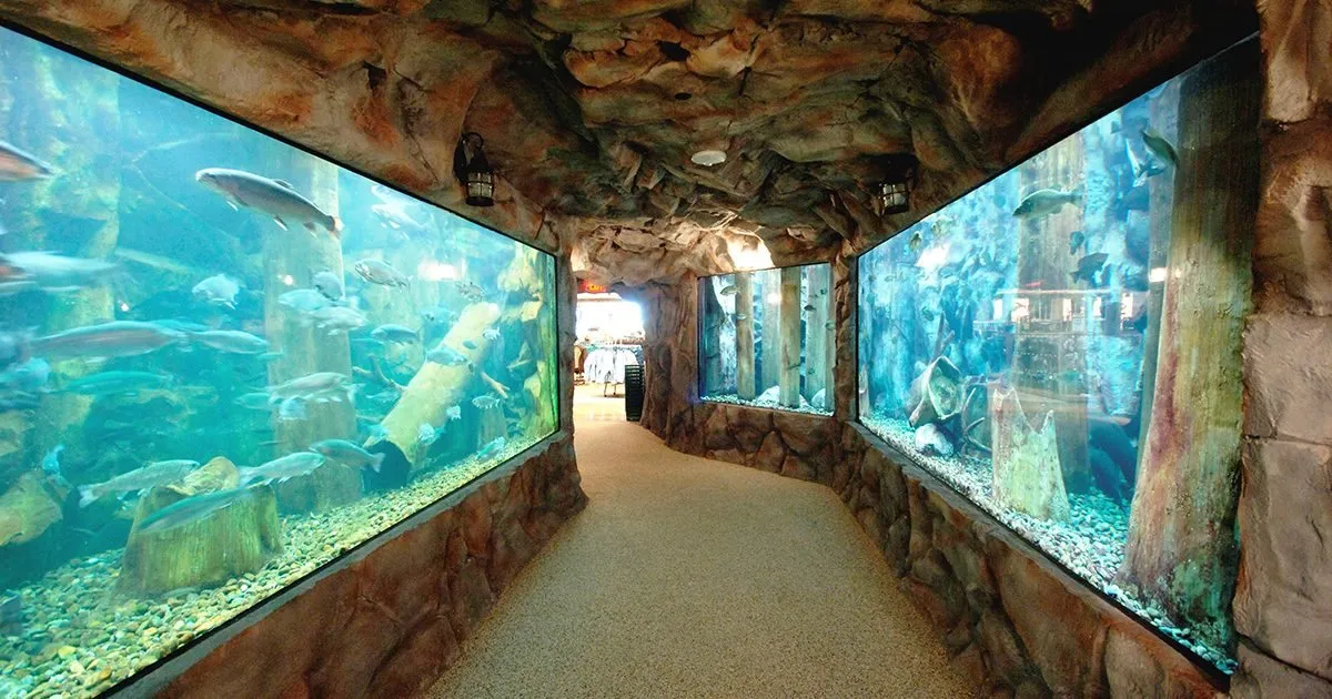 Walk-through aquarium passage with themed rockwork and viewing windows leading into a retail floor