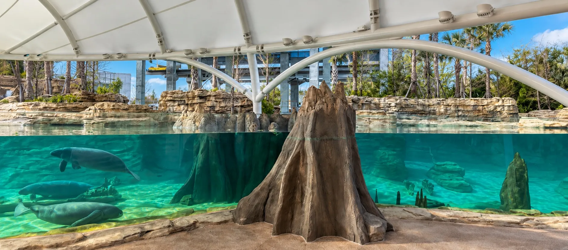 Manatee exhibit and viewing pools at the VyStar rehabilitation habitat